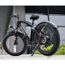 Citycoco Fatbike -250 Watt 24"