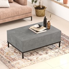 L'occi Concept Owen 90X60 cm Orta Sehpa Metal Ayaklı Kapaklı Beton-Siyah OW31-RL