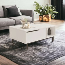 L'occi Concept Leena 90X60 cm Orta Sehpa Metal Ayaklı Kapaklı Beyaz La2-W