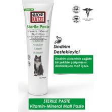 Biokatze Sterile Paste Kısırlaştırılmış Kediler için Vitamin ve Mineralli Malt Macunu 100gr