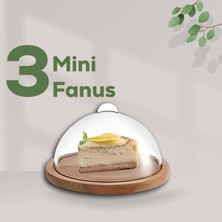 Sinbo Ahşap Havluluk + Tere Yağlık + Mini Fanus 3+1
