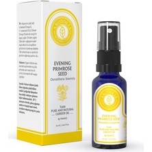 Arotolia Akşamçuha Çiçeği Tohumu Yağı 30 ml