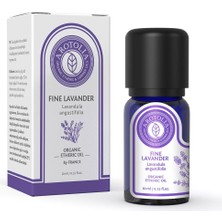 Arotolia Lavanta Uçucu Yağı 10 ml