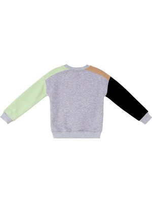 Denokids Rakun ve Ayı Erkek Çocuk Sweatshirt