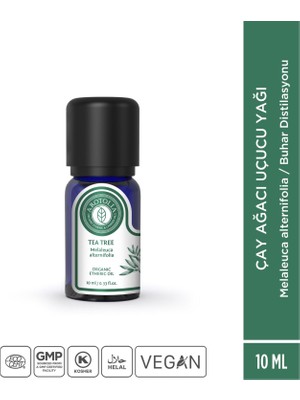 Arotolia Çay Ağacı Uçucu Yağı 10 ml
