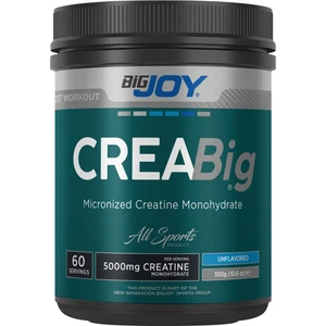 Bigjoy Sports Creabig Powder Creatine Kreatin Monohydrate Micronized 300g