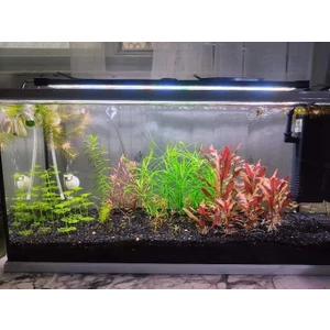 Shark Akvaryum Aydınlatma Sistemleri 75 cm ( 80-85 cm uyumlu ) Fullspectrum 4 Renk, 4sıra Osram Marka Ledli