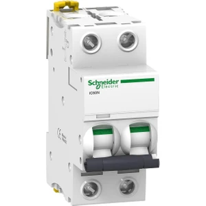 Schneider Electric 2X40A 6Ka C Tipi İc60N Otomat