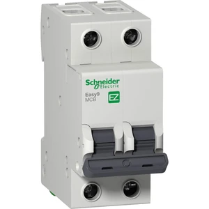 Schneider Electric Ez9F43240 3Ka 40A C Eğrisi 2P Otomatik Sigorta