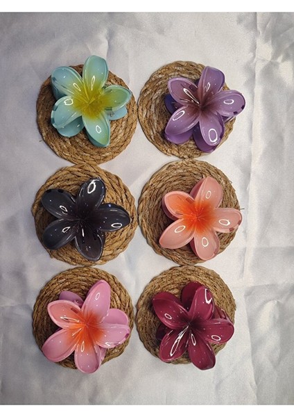 Orta Boy 6'lı Rengarenk Lotus Çiçeği Mandal Toka 6 cm