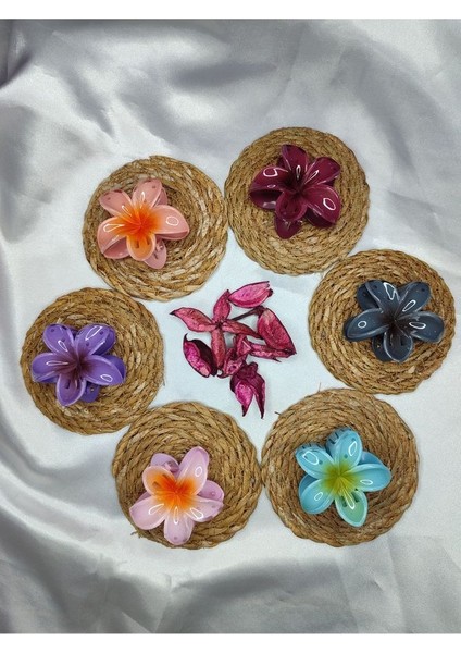 Orta Boy 6'lı Rengarenk Lotus Çiçeği Mandal Toka 6 cm fiyatları