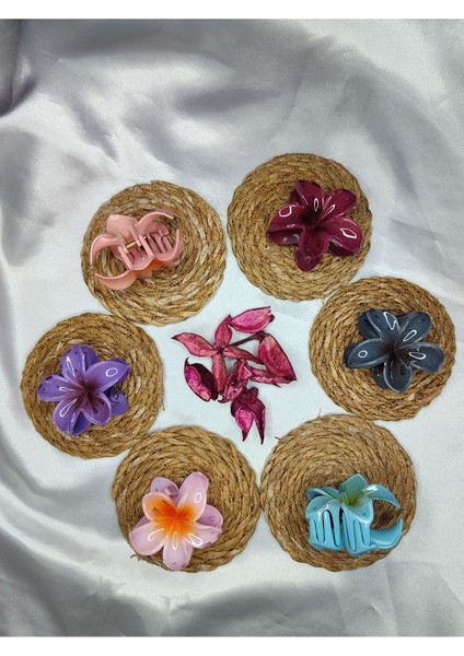 Orta Boy 6'lı Rengarenk Lotus Çiçeği Mandal Toka 6 cm modelleri