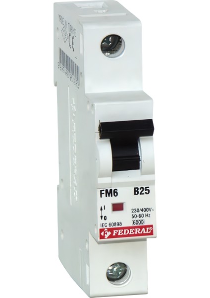 Sigorta 1c 10A 6ka FM6E