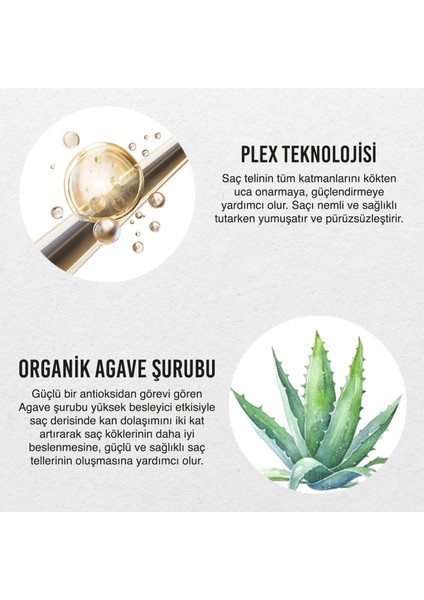 Urban Care No.1 Bond Plex Restore Repair Yıpranma Karşıtı Şampuanlama Öncesi Saç Bakım Maskesi - 50 ml - Vegan