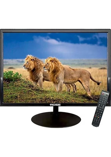 19" Monitör