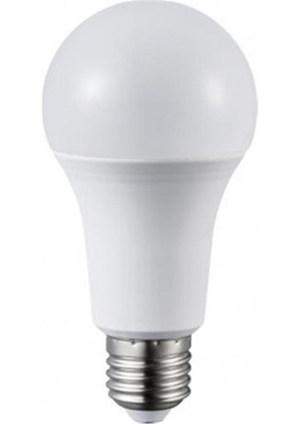 12 Watt LED Ampul