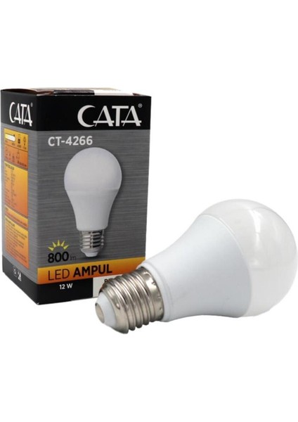 12 Watt LED Ampul