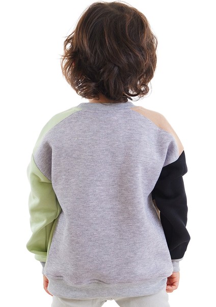 Rakun ve Ayı Erkek Çocuk Sweatshirt fiyatları