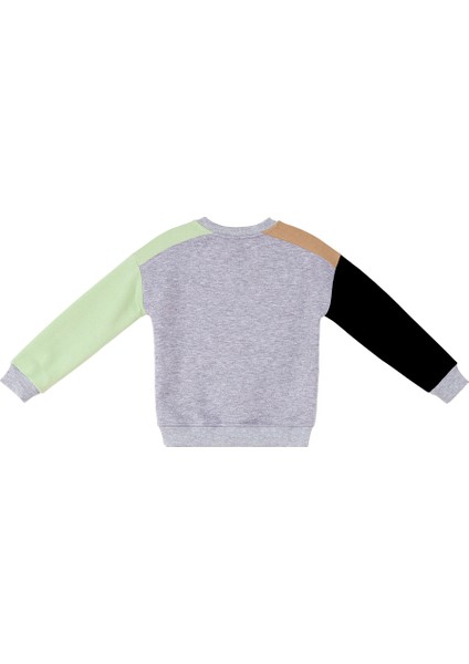 Rakun ve Ayı Erkek Çocuk Sweatshirt fırsatları