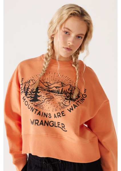Relaxed Fit Geniş Kesim Içi Polarlı Bisiklet Yaka Turuncu Sweatshirt modelleri