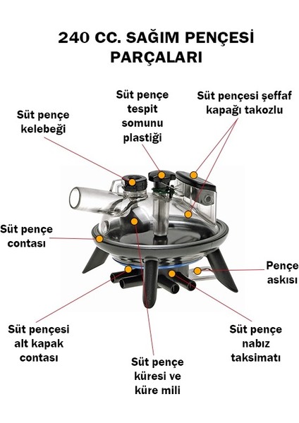 Süt Sağım Pençesi 240 cc Şeffaf Kapak