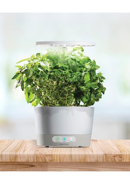 Aero Garden Aerogarden Harvest 360 Kapalı Bahçe Topraksız - LED Büyüme Işığı - Beyaz