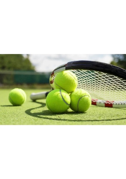 Başlangıç Seviye Özel Fileli Pratik Taşınabilir 12 Adet Antrenman Için Tenis Topu Cks-20