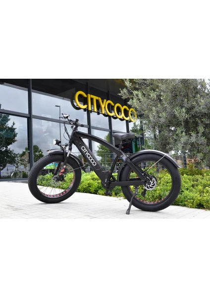 Fatbike -250 Watt 24"