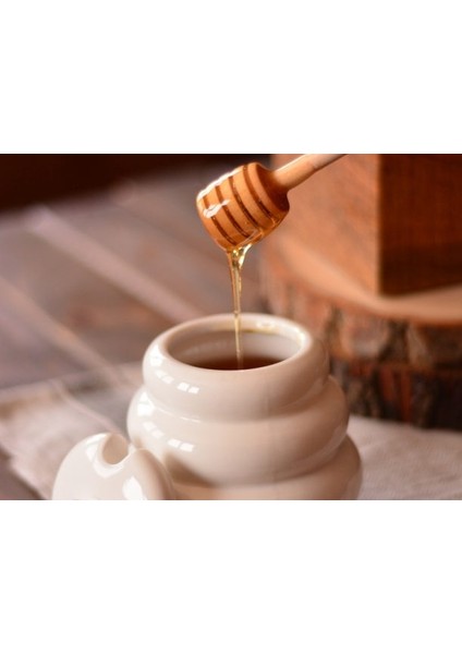 Honey Bal Saklama Kabı