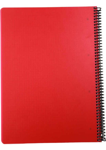 A4 Chroma 120 Yaprak Plastik Kapak Spiralli Defter