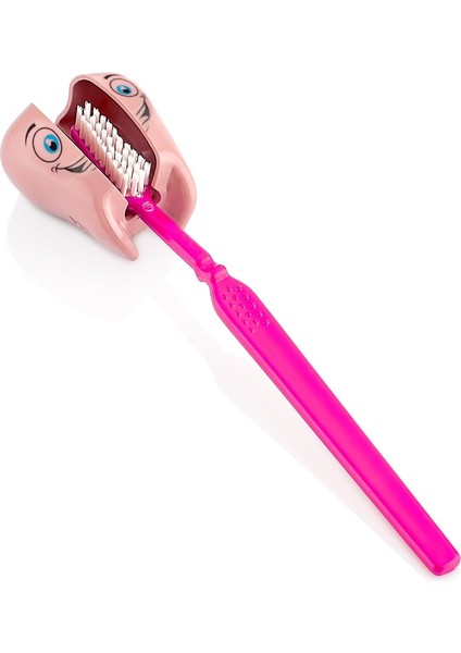 Inci Diş Fırçalık ( 2 Adet ) fiyatları