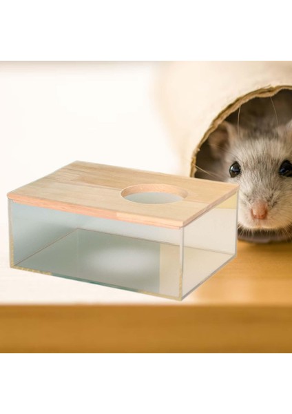 Hamster Banyo Şeffaf Hamster Banyo Evi Fareler Için Kafes Aksesuarları Dikdörtgen S (Yurt Dışından)