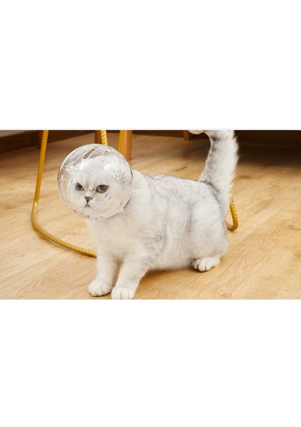 Kedi Aşıları ve Isırık Önleme Için Nefes Alabilen Uzay Baş Örtüsü (Yurt Dışından)