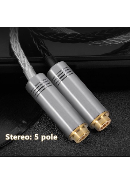 Dişi Jak Ses Fişi 4.4mm 5 Kutuplu Metal Kulaklık Adaptörü Gümüş (Yurt Dışından)
