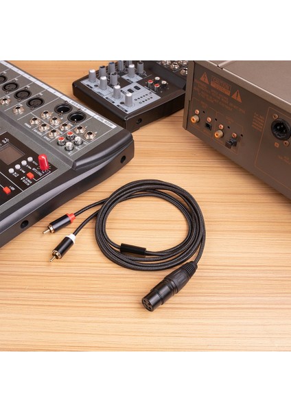 Pin Xlr Dişi - Çift Rca Erkek Y Splitter Kablosu, 1 Metre (Yurt Dışından)
