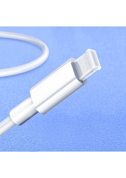 Apple Aydınlatma Veri Kablosu Için 6 Kutu/30 USB Toz Geçirmez Kapak (Yurt Dışından)