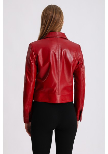 Kırmızı Gömlek Yaka Deri Mont fırsatları