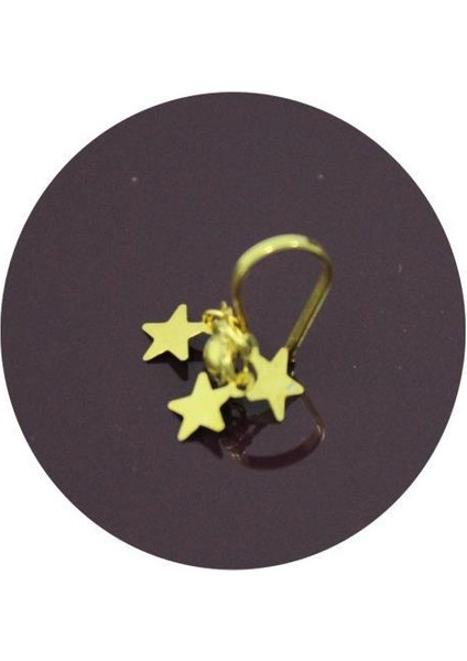 Altın Rengi Yaldızlı Gümüş Hızma Kıstırmalı Deliksiz Burun Hızma Hızma-28