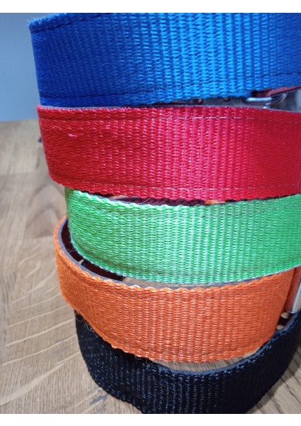 Köpek Tasması fiyatları