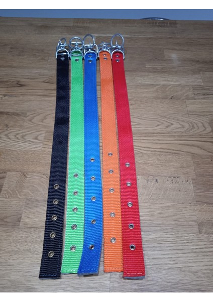 Köpek Tasması modelleri