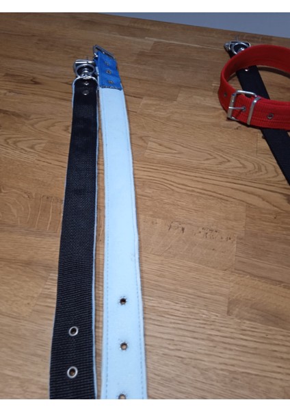 Köpek Tasması fiyatları