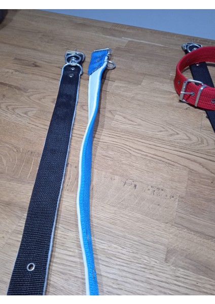 Köpek Tasması modelleri