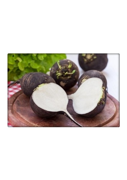 Turp Tohumu fiyatları