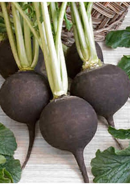 Turp Tohumu fırsatları