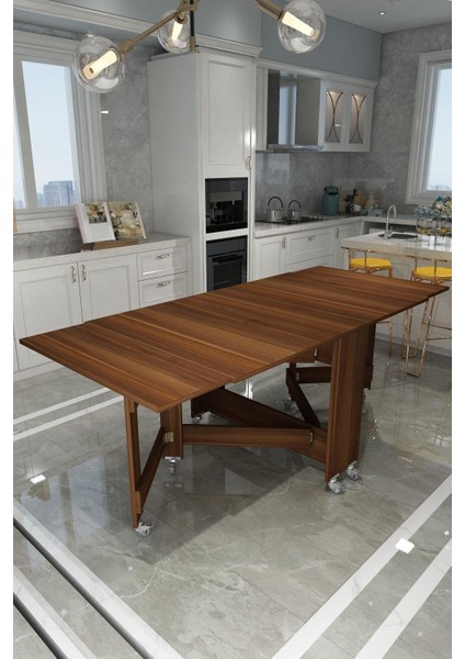 DF01111BR Portatif Pratik Katlanır Masa Mutfak ve Yemek Masası fiyatları