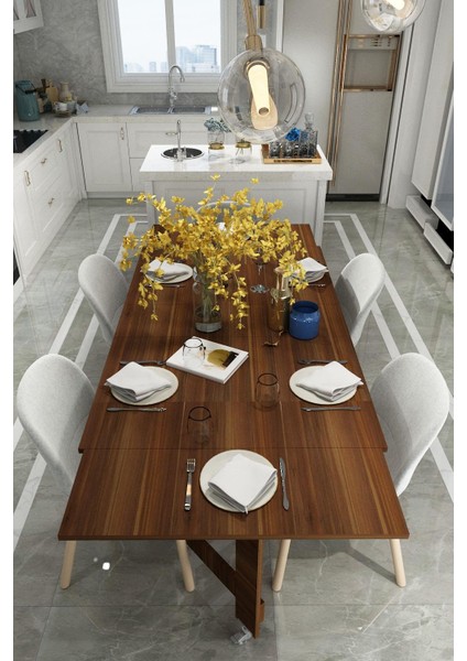 DF01111BR Portatif Pratik Katlanır Masa Mutfak ve Yemek Masası