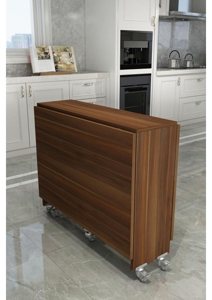 DF01111BR Portatif Pratik Katlanır Masa Mutfak ve Yemek Masası indirimleri