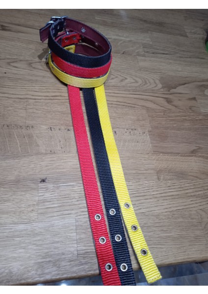 Köpek Tasması fiyatları