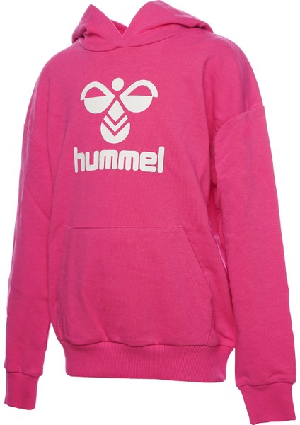 Hmlahri Hoodıe Çocuk Pembe Sweatshirt 921578-9855