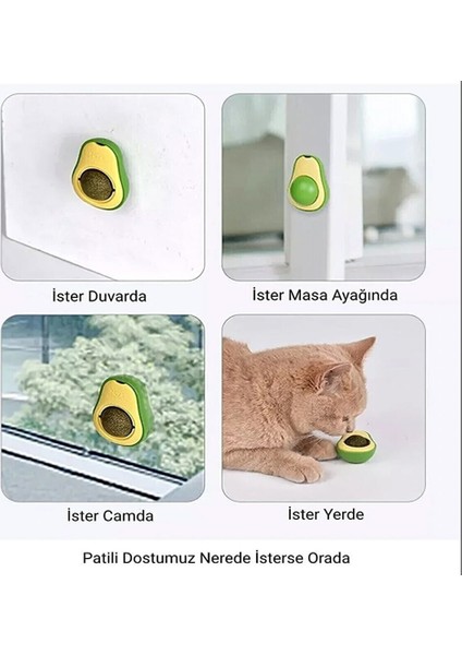 Avokado Tasarımlı Kedi Yalama Topu modelleri